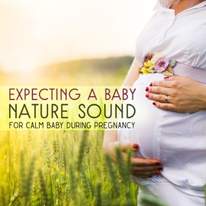 Expecting a Baby: Nature Sounds for Calm Baby During Pregnancy, Reduce Postpartum Stress, Soothing Sounds