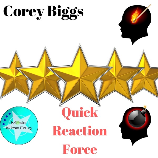 Quick Reaction Force - Single