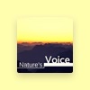 Nature Sounds Sleep Solutions for Tinnitus