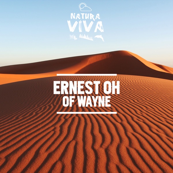 Of Wayne - Single