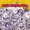 Last This Time (feat. Brock Berrigan) - Jad Abstrock lyrics