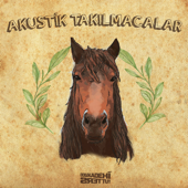 Akustik Takılmacalar - Dolu Kadehi Ters Tut