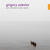 Bach, Beethoven, Brahms & Chopin: The Recordings of Grigory Sokolov - Grigory Sokolov