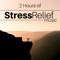 Soul System - Anxiety Relief lyrics