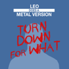 Turn Down for What (Metal Version) - Leo