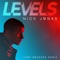 Levels - Nick Jonas lyrics