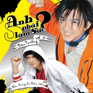 Anh Phai Lam Sao ?