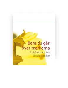 Escucha a Luleå domkyrkas vokalensemble, mira videos musicales, lee su biografía, consulta las fechas de las gira y más.