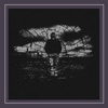 Chris Wood - The Wolfless Years