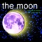 The Moon Is Made of Cheese (But I Can't Taste It) - Bill Wurtz lyrics