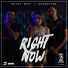 Right Now - Single