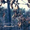 Novembre (feat. Swelto & DJ Exy) - Nocivo Regaz lyrics