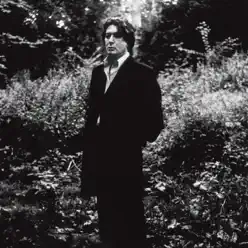 L'imprudence - Alain Bashung