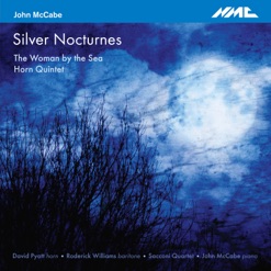 MCCABE/SILVER NOCTURNES/THE WOMAN BY THE cover art