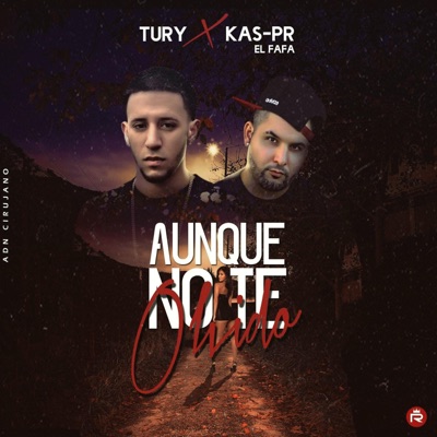 Aunque No Te Olvido (feat. Tury) - Single