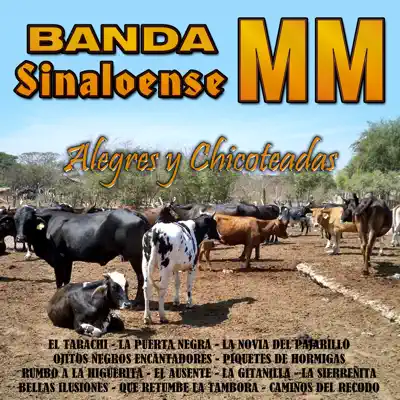 Alegres y Chicoteadas - Banda Sinaloense MM