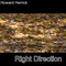 Right Direction - Howard Herrick lyrics
