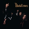 The Black Crowes: Twice As Hard