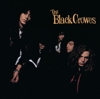 The Black Crowes - Shake Your Money Maker artwork