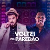 Voltei pro Paredão (feat. La Furia) - Single