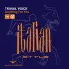 Trivial Voice - Anything for You (Radio Edit)