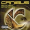 I'll Buss ' Em U Punish 'Em - Canibus & Rakim lyrics