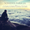 Sonidos para la concentracion – Música de fondo de la naturaleza para aprender y leer, estudio, relajacion - Zona de enfoque