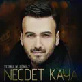 Yetmez Mi Gonul