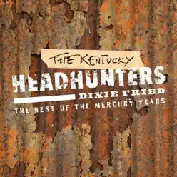 Dixie Fried: The Best of the Mercury Years - The Kentucky Headhunters