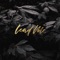 Compass (feat. Clark Beckham & Whitney Wilson) - Far-Flung Tin Can lyrics