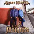 Toda Mi Vida Loqueando
