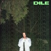 Dile (feat. Blems Money) - Single