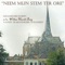 Agnus Dei (feat. Willem Harold Boog) - Chr. Gem. Zangver. 