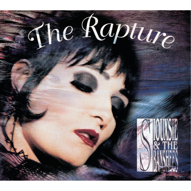 Downside Up (Box Set) - Album by Siouxsie & The Banshees