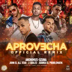 Aprovecha (Remix) [feat. Ozuna, Juanka, Juhn & Justin Quiles] - Single - Anonimus