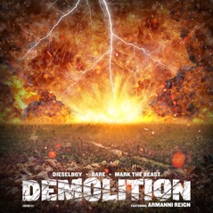 Demolition - Single