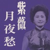 Ziwei - 月夜愁