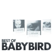Best of Babybird artwork