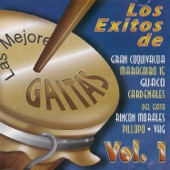 Las Mejores Gaitas, Vol. 1 artwork