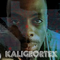 Go Get It (feat. King Cobra & Gutta J) - Single - Ruffian Thomas