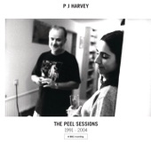 The Peel Sessions 1991 - 2004 (US Release) artwork