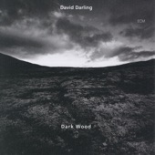 Dawn (Darkwood IV) artwork