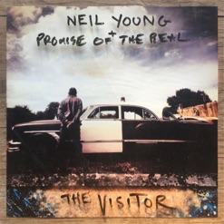 THE VISITOR cover art
