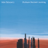 Edie Brickell - Picture Perfect Morning