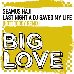 Last Night a DJ Saved My Life - Single