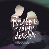 Razboi Pe Camp Deschis (feat. Cornel Ilie) [by FLY RECORDS] artwork