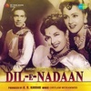 Dil-E-Nadaan (Original Motion Picture Soundtrack) - EP