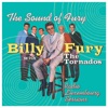 The Tornados & Billy Fury