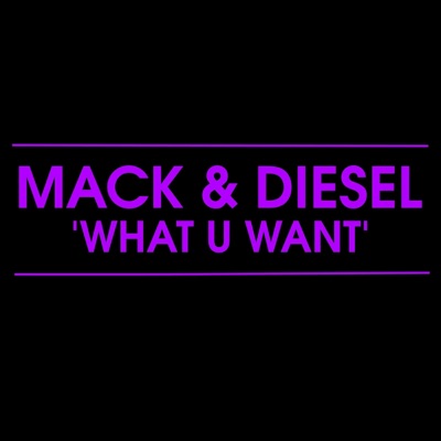 'What U Want' - Single