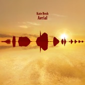 Aerial (2018 Remaster) artwork